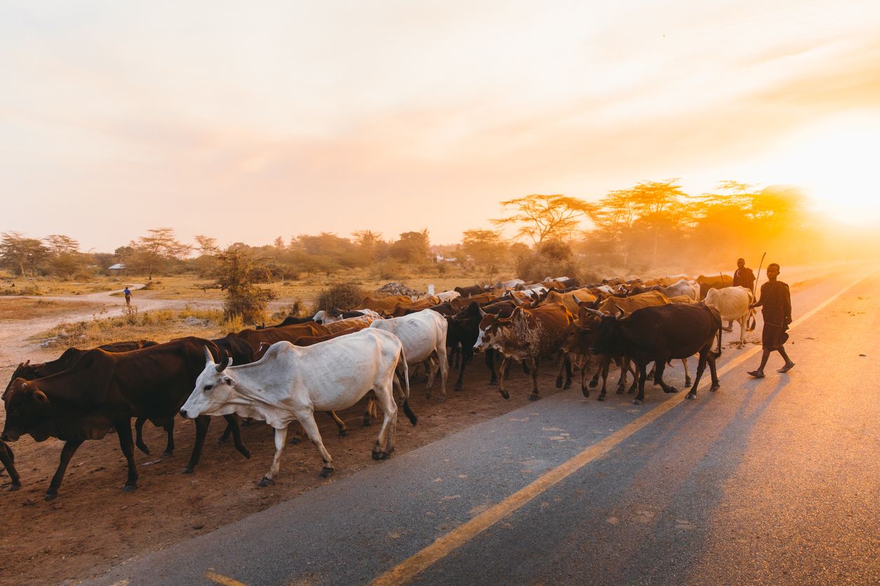 El desalojo del pueblo masai en Tanzania podría desplazar hasta 70.000 indígenas.