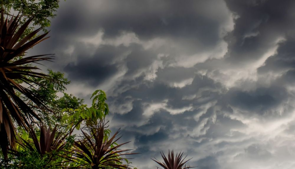 Los fuertes eventos de El Niño y La Niña han sido más frecuentes y más fuertes desde 1950 que, en los siglos anteriores. Los fuertes eventos de El Niño y La Niña han sido más frecuentes y más fuertes desde 1950 que, en los siglos anteriores.