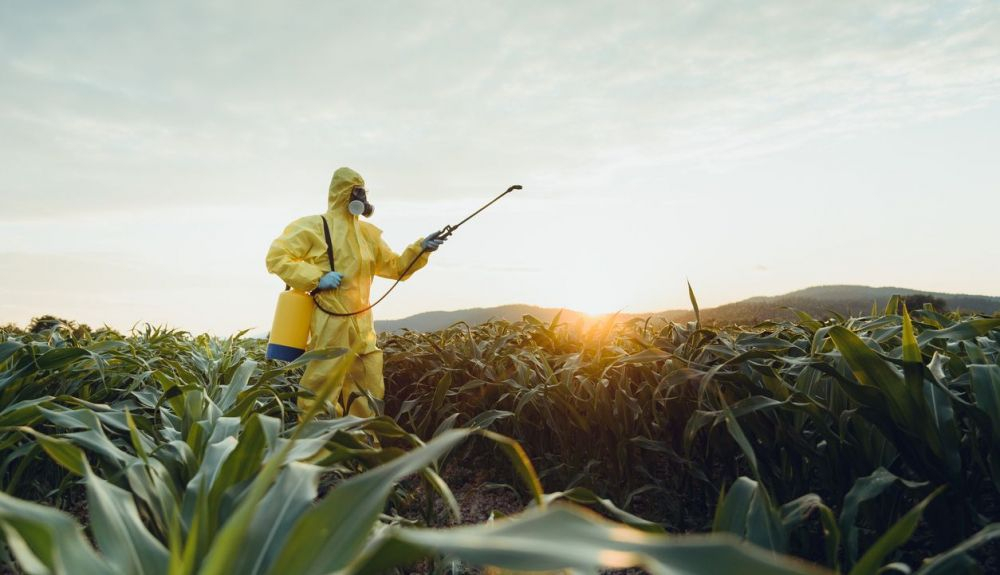 Los activistas creen que Europa debe avanzar hacia un sistema alimentario sostenible y para proteger la salud de los trabajadores agrícolas, los ciudadanos y el medio ambiente. Los activistas creen que Europa debe avanzar hacia un sistema alimentario sostenible y para proteger la salud de los trabajadores agrícolas, los ciudadanos y el medio ambiente.