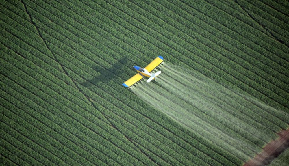 Este grupo considera que la Comisión Europea podría haber ido mucho más allá para lograr que la agricultura esté libre de pesticidas mucho antes. Este grupo considera que la Comisión Europea podría haber ido mucho más allá para lograr que la agricultura esté libre de pesticidas mucho antes.