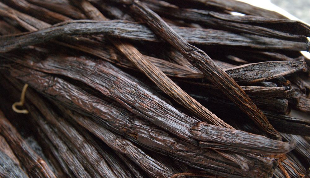 La vainillina es el principal componente químico del extracto de vainilla. La vainillina es el principal componente químico del extracto de vainilla.