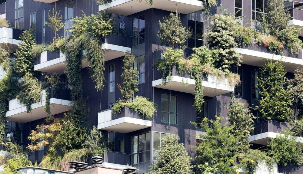 los actores sociales de la naturación deben diseñar estrategias que muestren los efectos positivos de ésta.