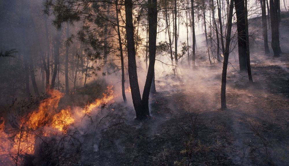 Muchas zonas de Europa meridional y del Mediterráneo alcanzan condiciones meteorológicas extremas y propicias al fuego.