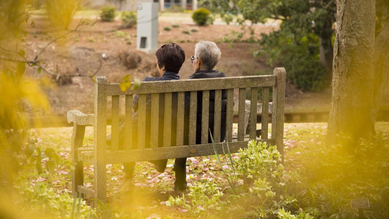 La descendencia de los centenarios es menos frágil que la de los no centenarios de la misma edad, lo que puede explicarse por su dotación genética única.