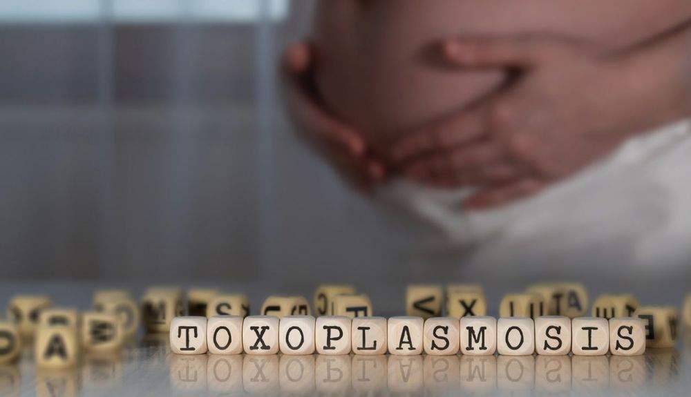 La toxoplasmosis es especialmente peligrosa para las mujeres embarazadas.