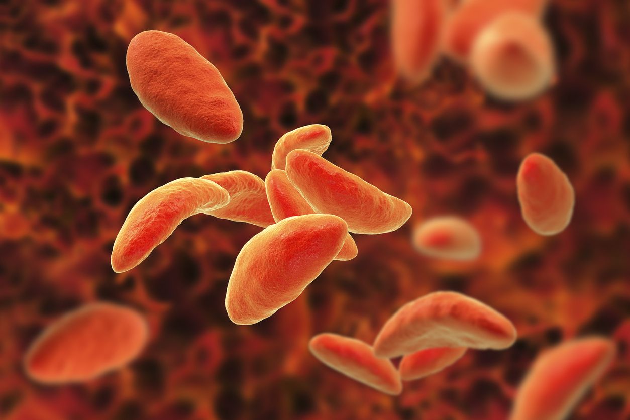 Protozoos parásitos toxoplasma gondii que causan toxoplasmosis en etapa de taquizoitos.