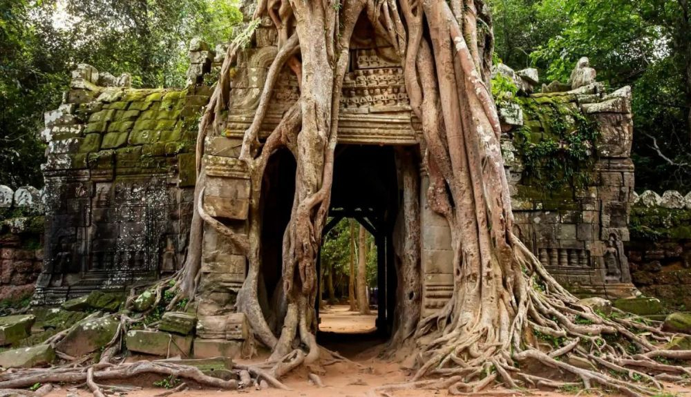 Abandonado en el siglo XV, Angkor solo fue redescubierto en la década de 1860. Abandonado en el siglo XV, Angkor solo fue redescubierto en la década de 1860.