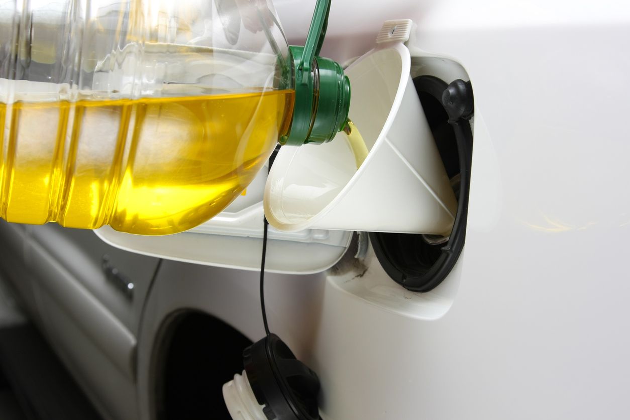 ECODES solicita que los países dejen de apoyar todos los biocombustibles de cultivos alimentarios de manera inmediata.