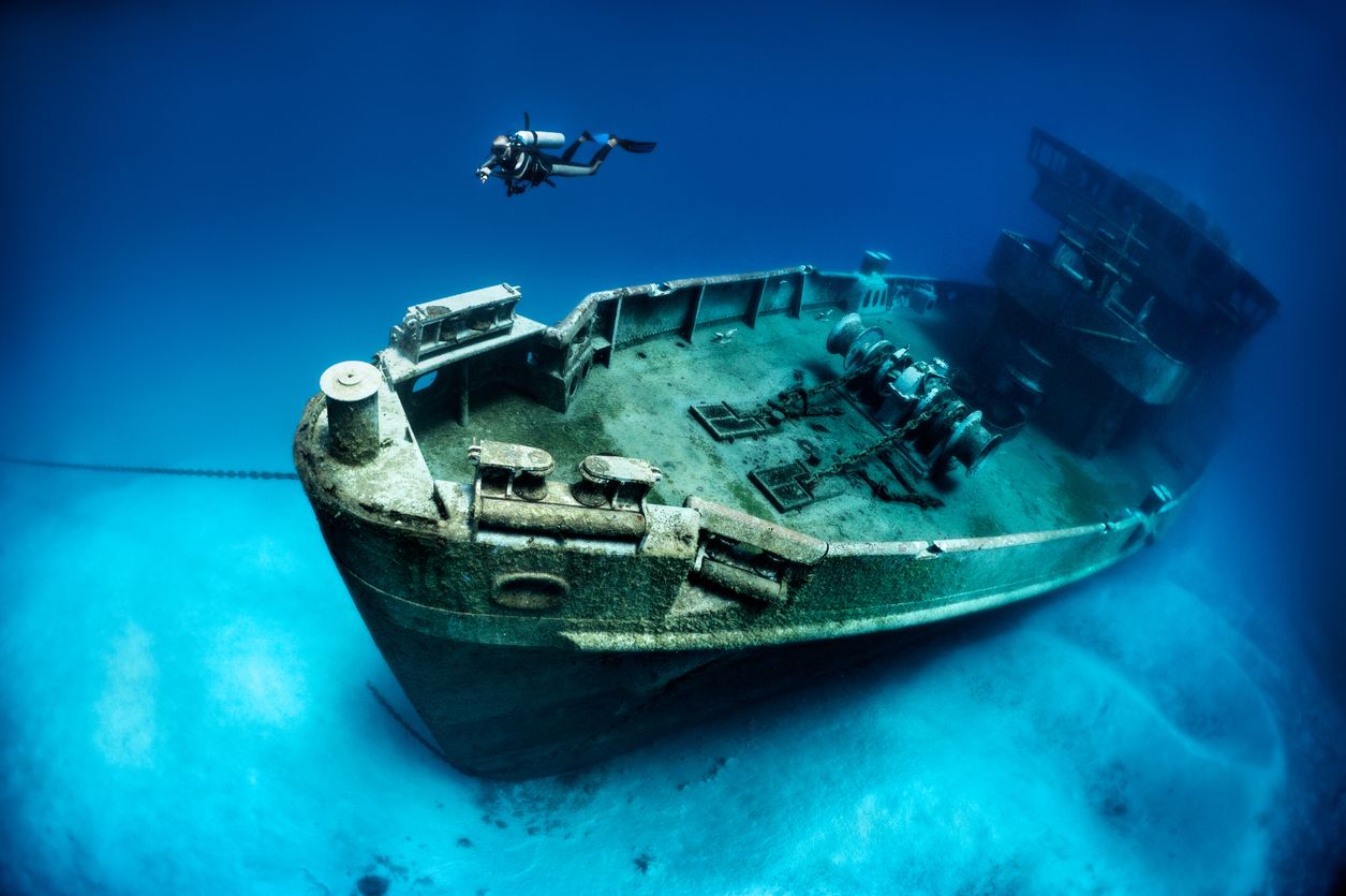Los barcos naufragados están teniendo un impacto importante en los delicados ecosistemas en el fondo de los océanos.