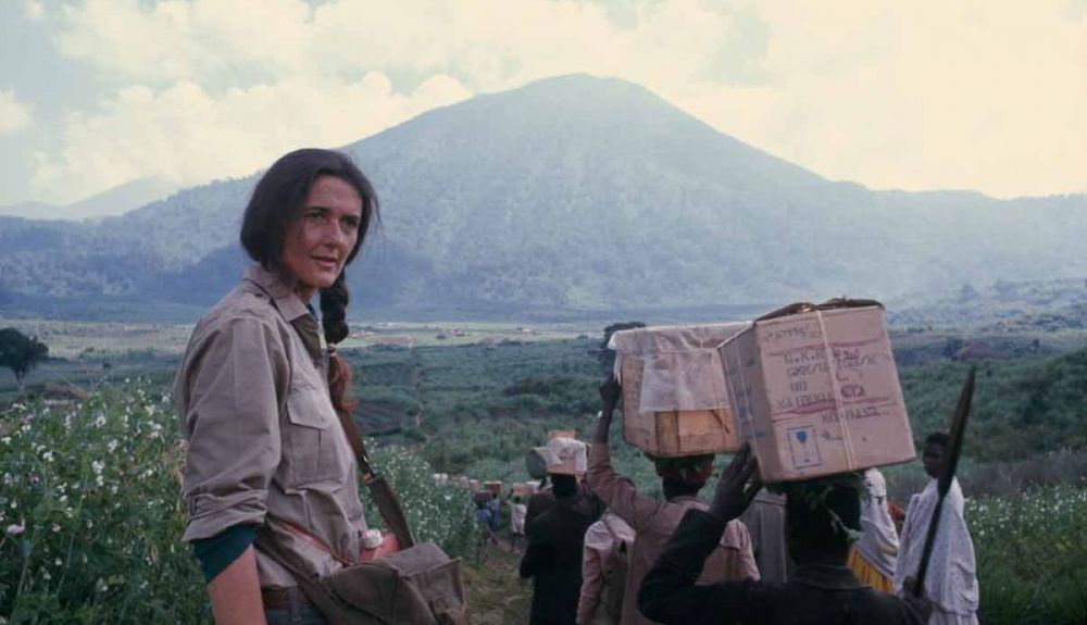 Dian Fossey creía que estos animales desaparecerían en el siglo XXI. Dian Fossey creía que estos animales desaparecerían en el siglo XXI.