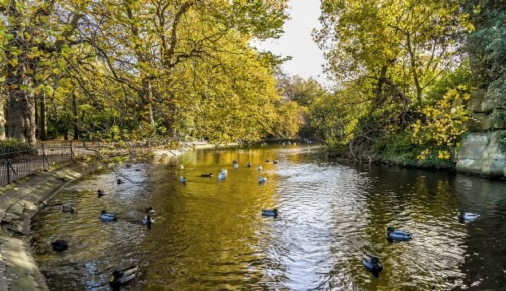 Este parque es un refugio en el corazón de Dublín. Este parque es un refugio en el corazón de Dublín.