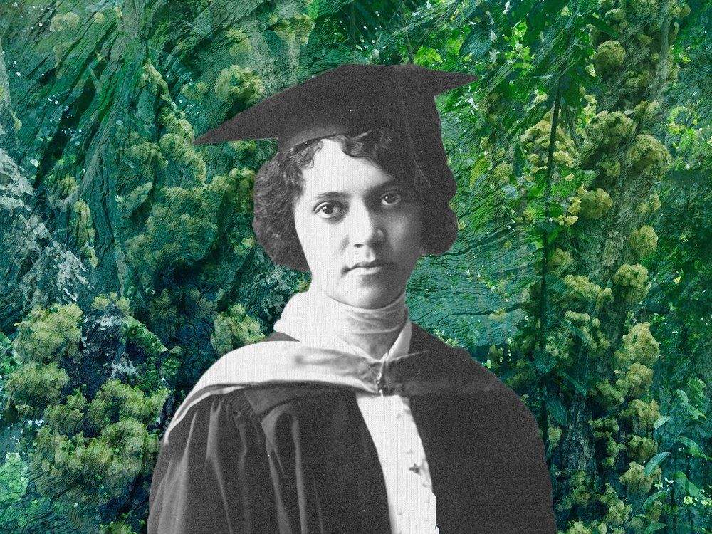 Alice Ball tenía solo 23 años cuando desarrolló un método para hacer que el aceite de chaulmoogra, un tratamiento temprano para la lepra, fuera más fácil de inyectar.