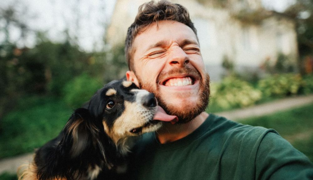 Poco a poco, el perro ha pasado de ser una mascota que acompaña a algo así como un humano más.