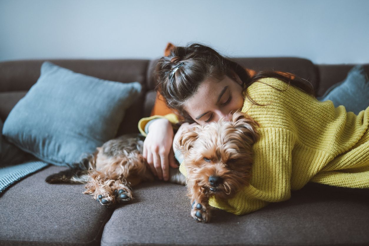 Aunque algo de humanización en los perros es imprescindible, los expertos alertan de que el exceso no es bueno.