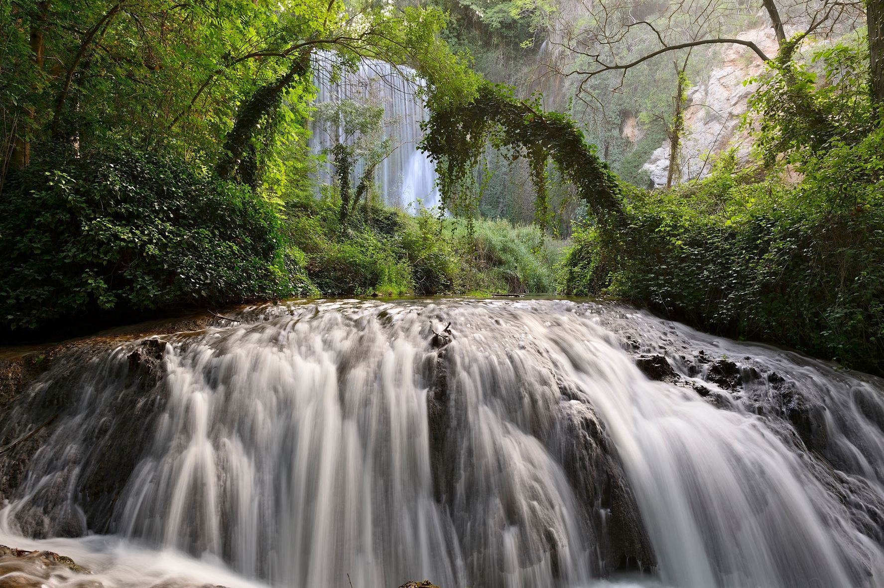 La explotación apícola del Monasterio de Piedra tiene 80 colmenas.