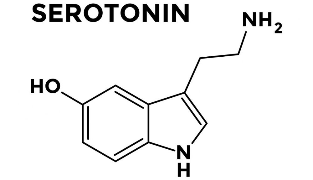 La serotonina, que mantiene los niveles de agresividad bajo control, se ve afectada por las altas temperaturas. La serotonina, que mantiene los niveles de agresividad bajo control, se ve afectada por las altas temperaturas.