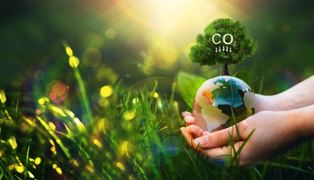 El compromiso con la reducción de la huella de carbono no debe ser solo de los gobiernos y las empresas, sino también de los ciudadanos. El compromiso con la reducción de la huella de carbono no debe ser solo de los gobiernos y las empresas, sino también de los ciudadanos.
