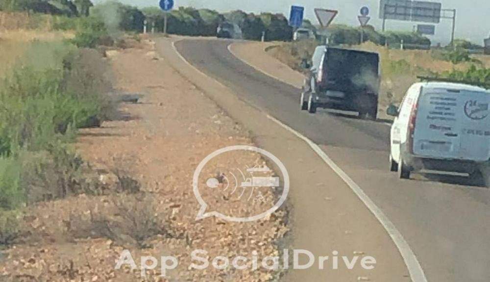 Los modelos de furgonetas camufladas de la DGT y los trucos para detectarlas (Imagen: SocialDrive)