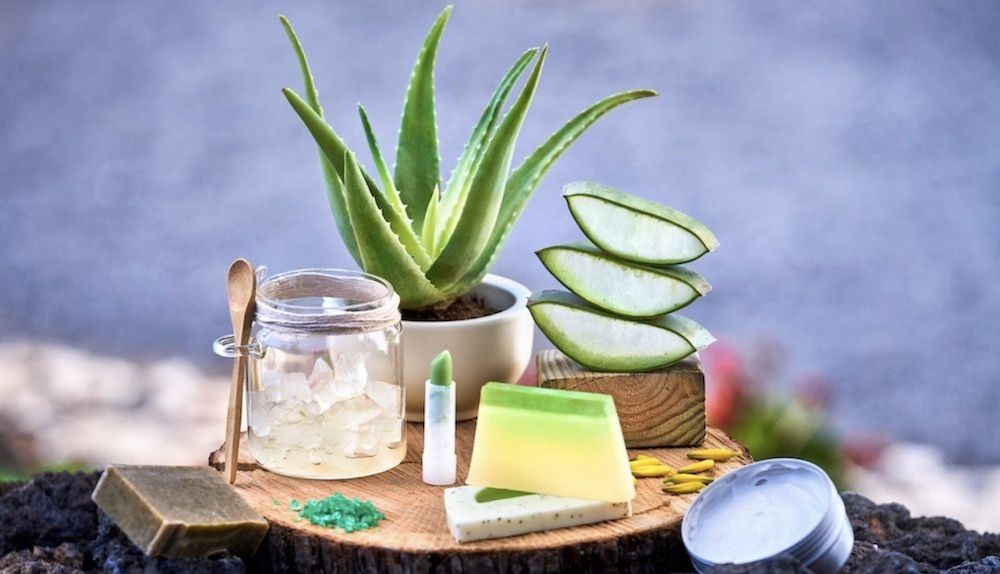 Las materias primas de las Islas Canarias permiten elaborar numerosos productos cosméticos de gran calidad.