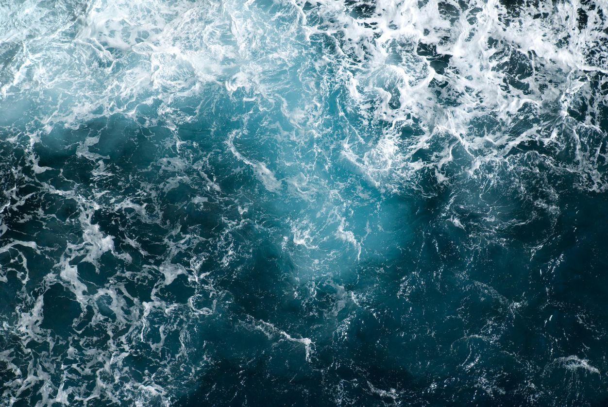 Aunque el microbioma oceánico es un gran desconocido, investigaciones recientes han desvelado que es increíblemente diverso.