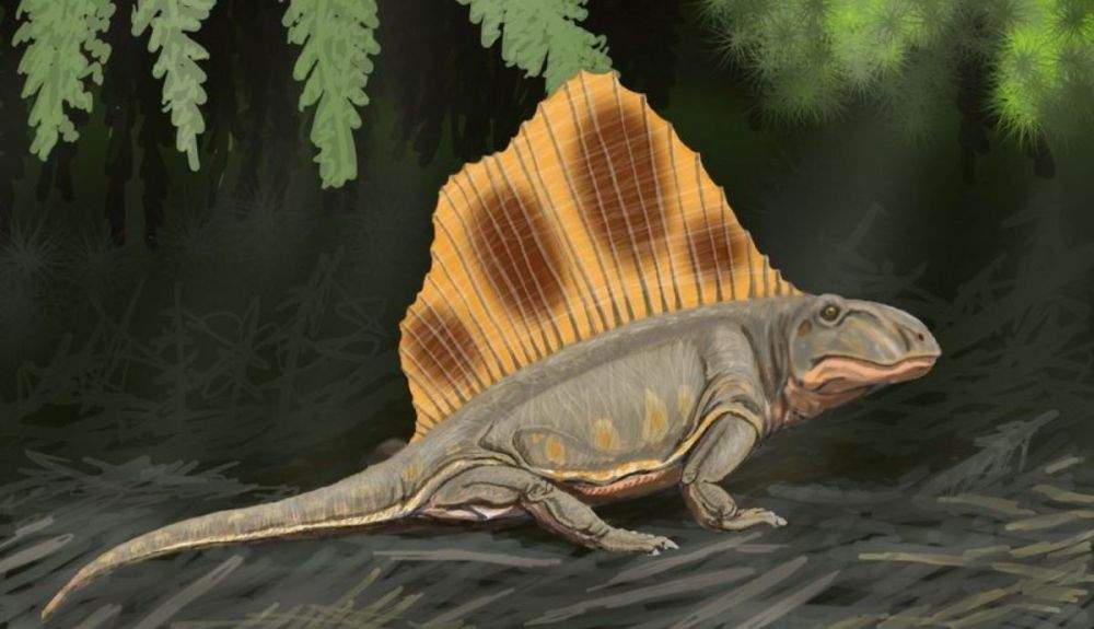 Los investigadores analizaron los canales auditivos internos de 56 sinápsidos extintos.