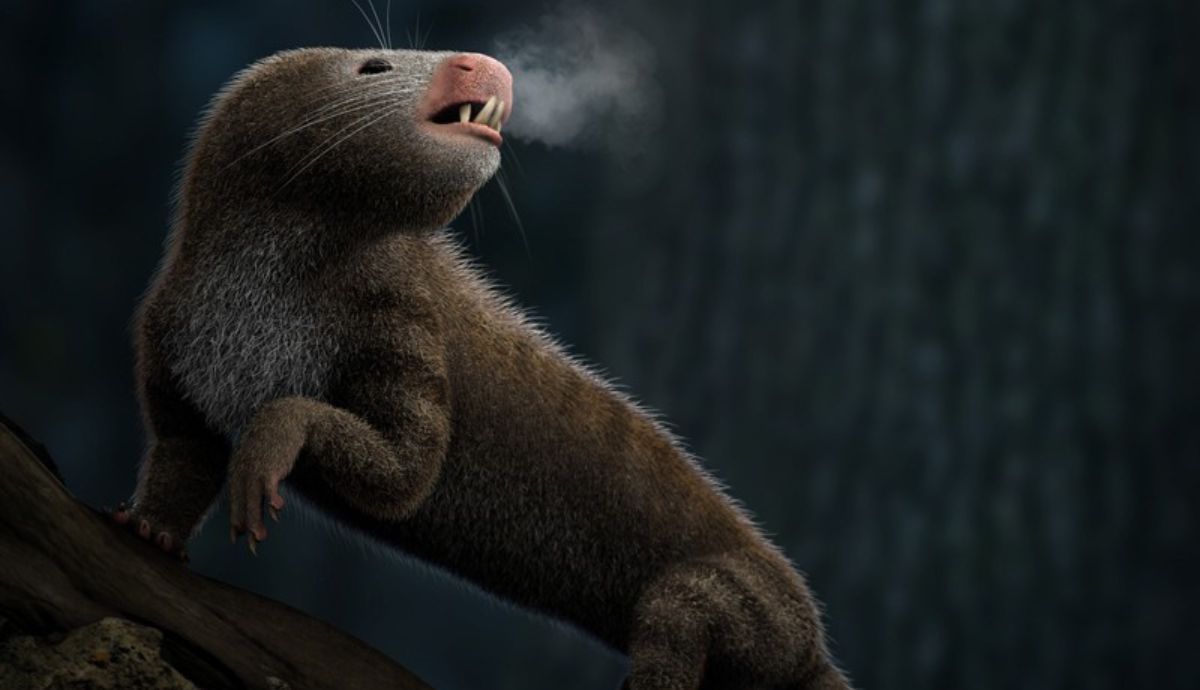 Los antepasados de los mamíferos modernos desarrollaron la capacidad de regular sus propias temperaturas corporales.