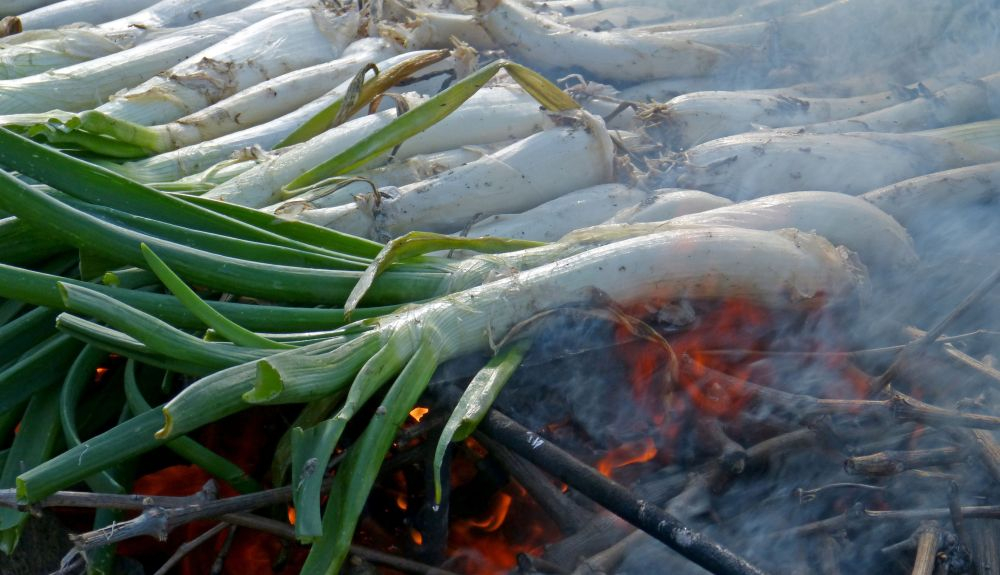 Este plato típico nació en la ciudad de Valls, en la comarca del Alt Camp. Este plato típico nació en la ciudad de Valls, en la comarca del Alt Camp.