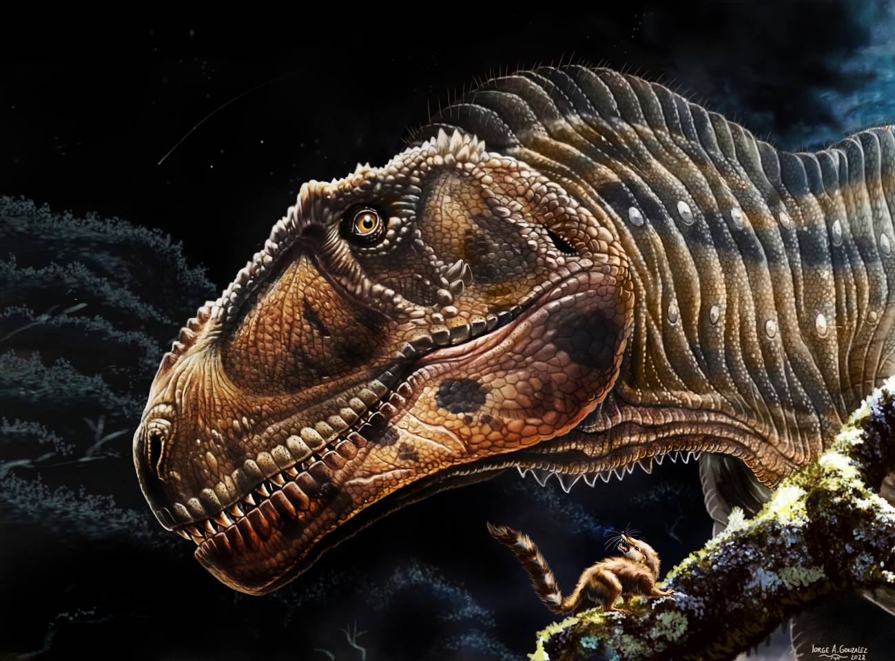 El cráneo de Meraxes gigas contaba con rugosidades, crestas y surcos que probablemente cambiaran de color por la irrigación sanguínea.