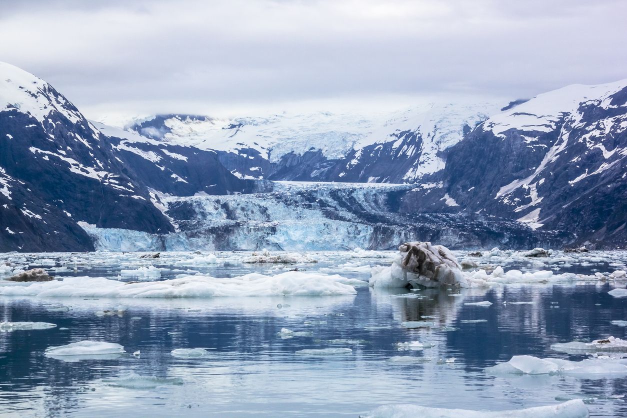 Entre los tipos de glaciares, se encuentra el de marea, como el John Hopkins.