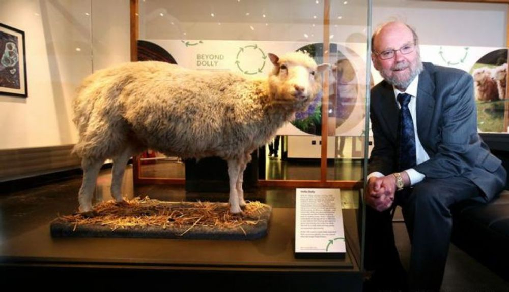 Dolly se exhibe actualmente en el Museo Nacional de Escocia. Dolly se exhibe actualmente en el Museo Nacional de Escocia.
