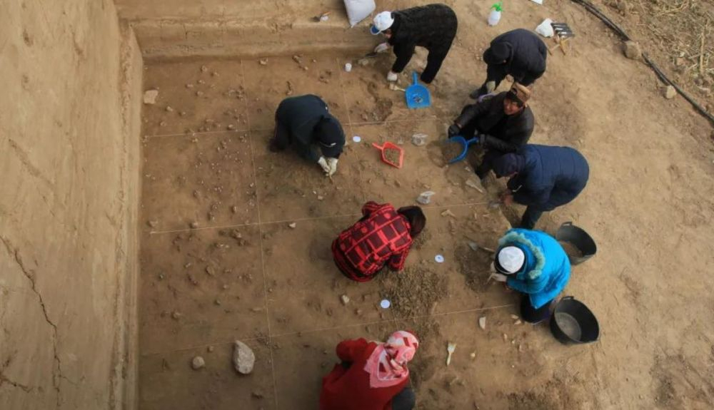 Las excavaciones en el sitio de Xiamabei, en el norte de China, revelaron herramientas de piedra, fósiles y pigmentos ocres y rojos.. Las excavaciones en el sitio de Xiamabei, en el norte de China, revelaron herramientas de piedra, fósiles y pigmentos ocres y rojos..