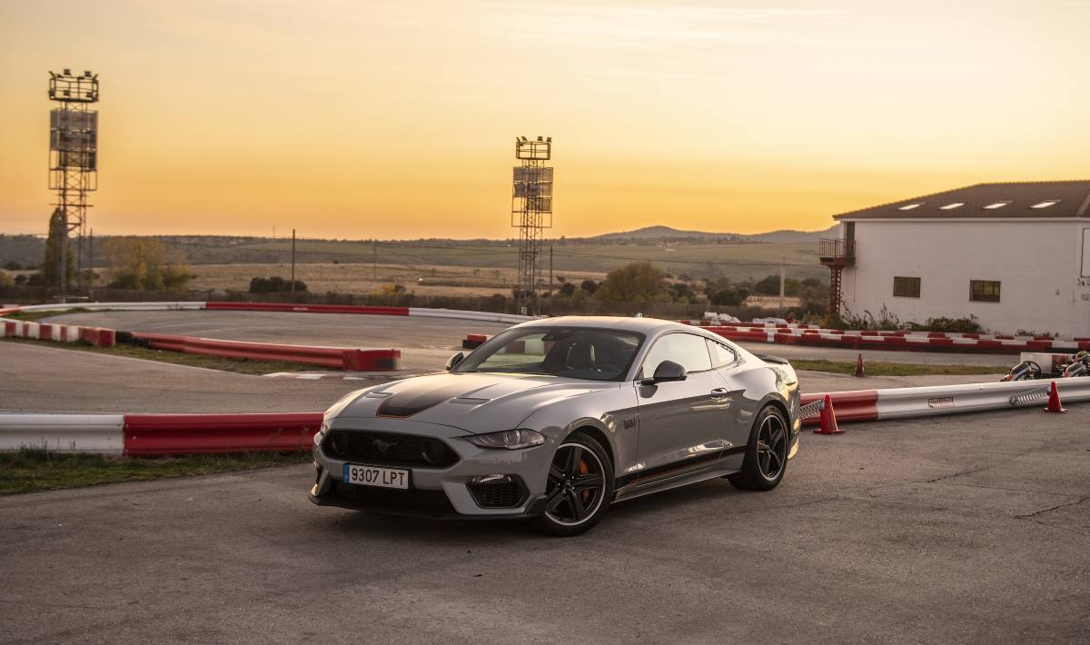 Mustang14