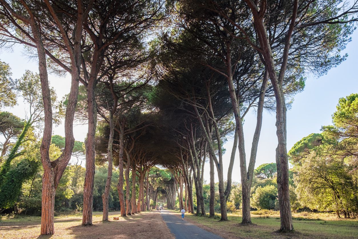 La Toscana tiene una gran cantidad de parques naturales, senderos y carriles bici.