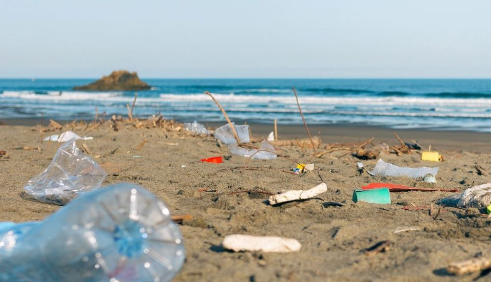 Uno de los grandes retos del Mediterráneo es la contaminación de plásticos. Uno de los grandes retos del Mediterráneo es la contaminación de plásticos.