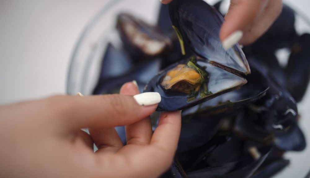 Los mejillones son un alimento rico en nutrientes. Los mejillones son un alimento rico en nutrientes.