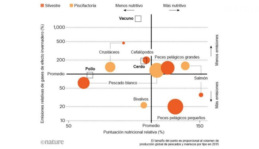 Gráfico que muestra que algunos mariscos y pescados tienen un mayor valor nutricional y generan menos emisiones que la carne. Gráfico que muestra que algunos mariscos y pescados tienen un mayor valor nutricional y generan menos emisiones que la carne.