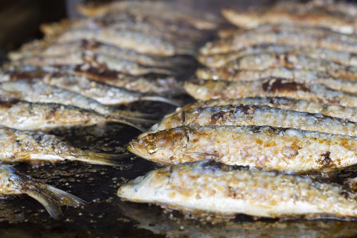 Los pescado y mariscos que más nos convienen comer