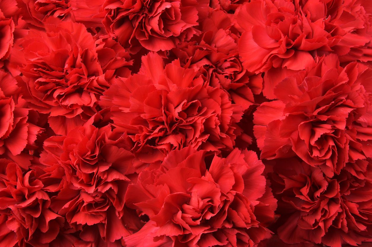 El color rojo es uno de los más visibles en el espectro de colores.