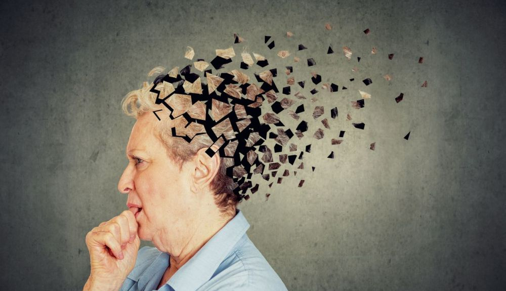 Un estudio sobre la enfermedad de Alzheimer indica que, mejorando el funcionamiento del sistema glinfático, se podrían conseguir fármacos más eficientes. Un estudio sobre la enfermedad de Alzheimer indica que, mejorando el funcionamiento del sistema glinfático, se podrían conseguir fármacos más eficientes.