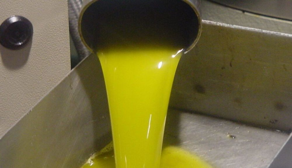El nombre lampante proviene de lámpara, ya que antiguamente este aceite se empleaba como combustible. El nombre lampante proviene de lámpara, ya que antiguamente este aceite se empleaba como combustible.