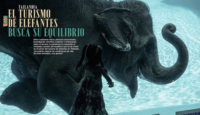 elefantes elefantes