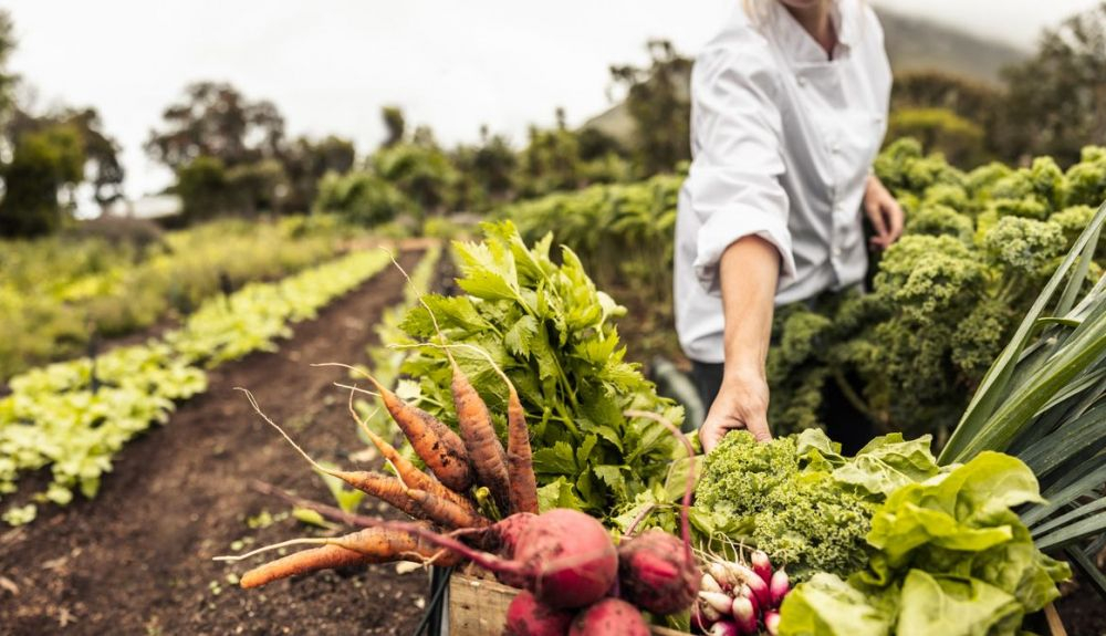La superficie agraria útil dedicada la agricultura ecológica en España se sitúa en el 10,79 %. La superficie agraria útil dedicada la agricultura ecológica en España se sitúa en el 10,79 %.