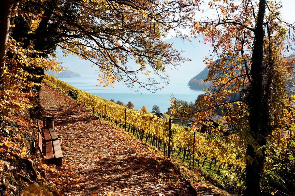 Otoño es una estación perfecta para visitar los Alpes suizos.