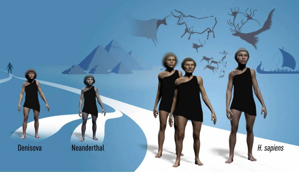 El trabajo de Pääbo incluye estudios genéticos de neandertales y denisovanos, El trabajo de Pääbo incluye estudios genéticos de neandertales y denisovanos,