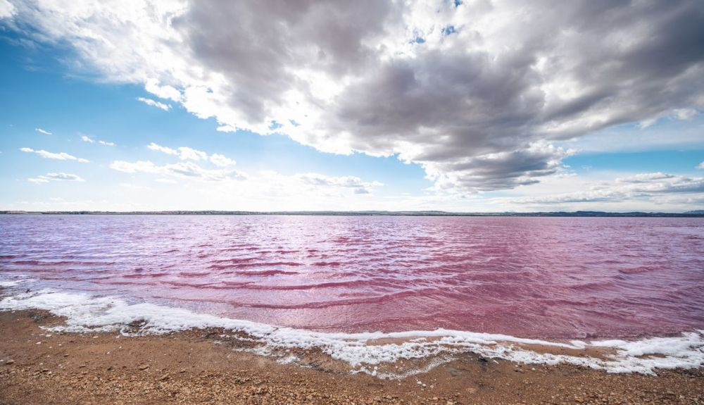 La laguna rosa de Torrevieja es un espacio protegido.