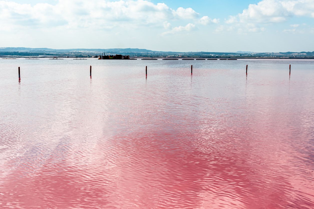 La laguna rosa de Torrevieja es un espectáculo natural único en España.