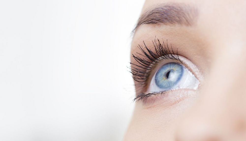 La mutación de los ojos azules no confiere ninguna ventaja o desventaja evolutiva.