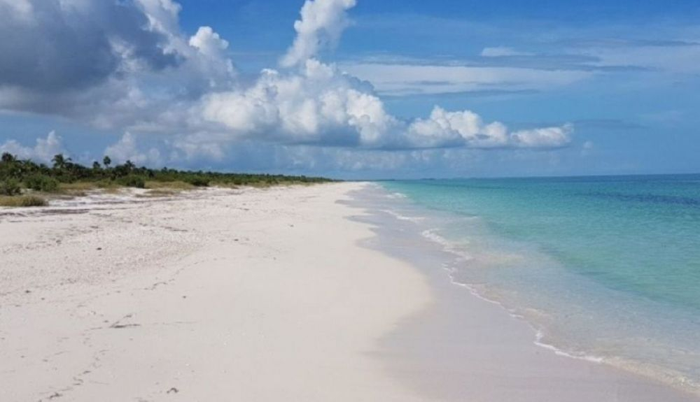 Playa de Yum Balam, un área de protección de la vida silvestre. Playa de Yum Balam, un área de protección de la vida silvestre.