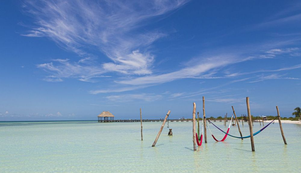 En las playas de esta isla mexicana se puede disfrutar del fenómeno de la bioluminiscencia. En las playas de esta isla mexicana se puede disfrutar del fenómeno de la bioluminiscencia.