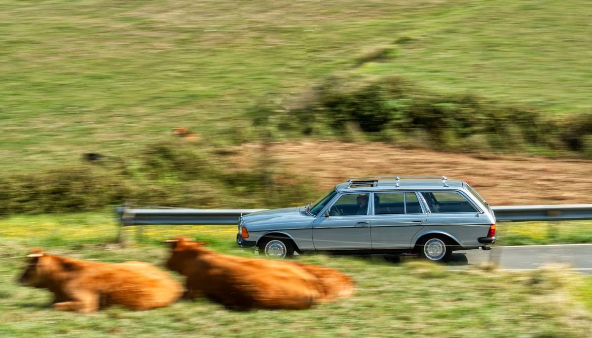Mercedes 300 TD 04